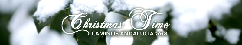 V Concurso de Christmas Caminos Andalucía