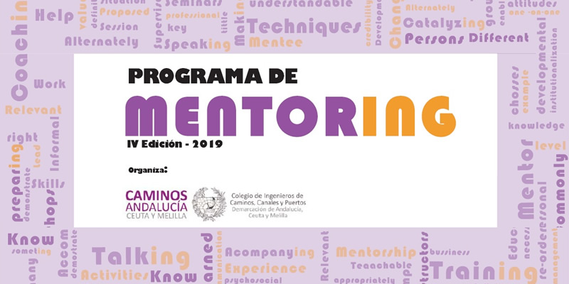Programa Mentoring 2019