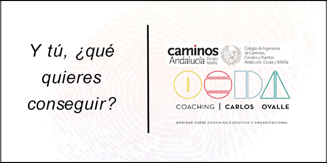 Webinar de Coaching Organizacional con Carlos Ovalle