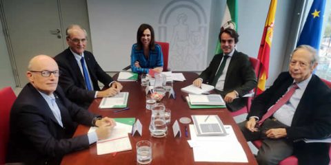 Presentamos a la Junta con ASIAN las propuestas de la Ingeniería al ...