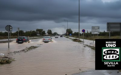 Pietro Tucci alerta del fuerte impacto de las lluvias en las carreteras sevillanas y subraya la importancia del mantenimiento preventivo